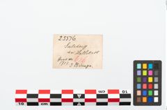 Etikett zu Bronzering (NHMW-PRAE-025576)